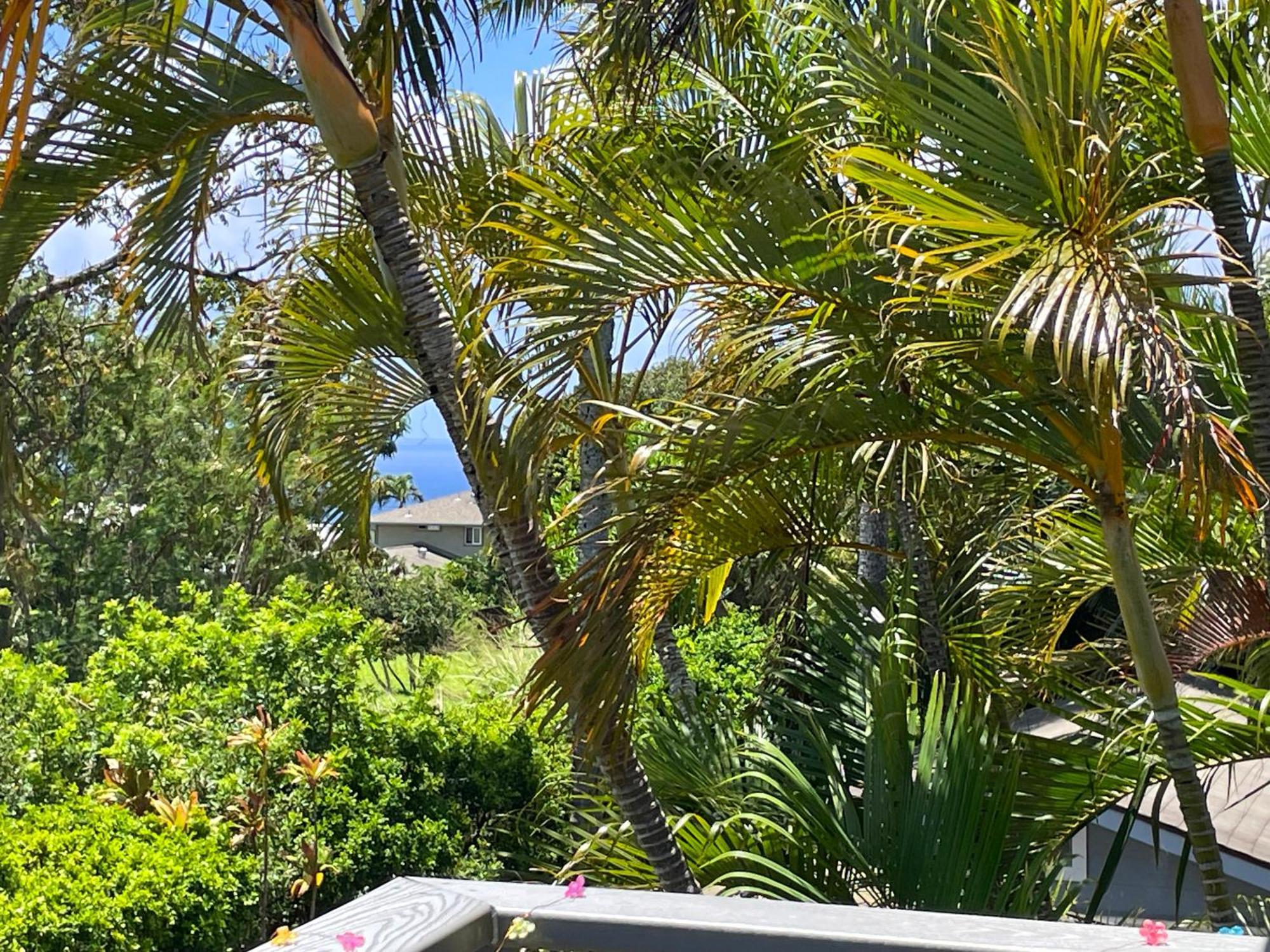 Puu Koa Palms Vacation Rental Haiku Eksteriør billede